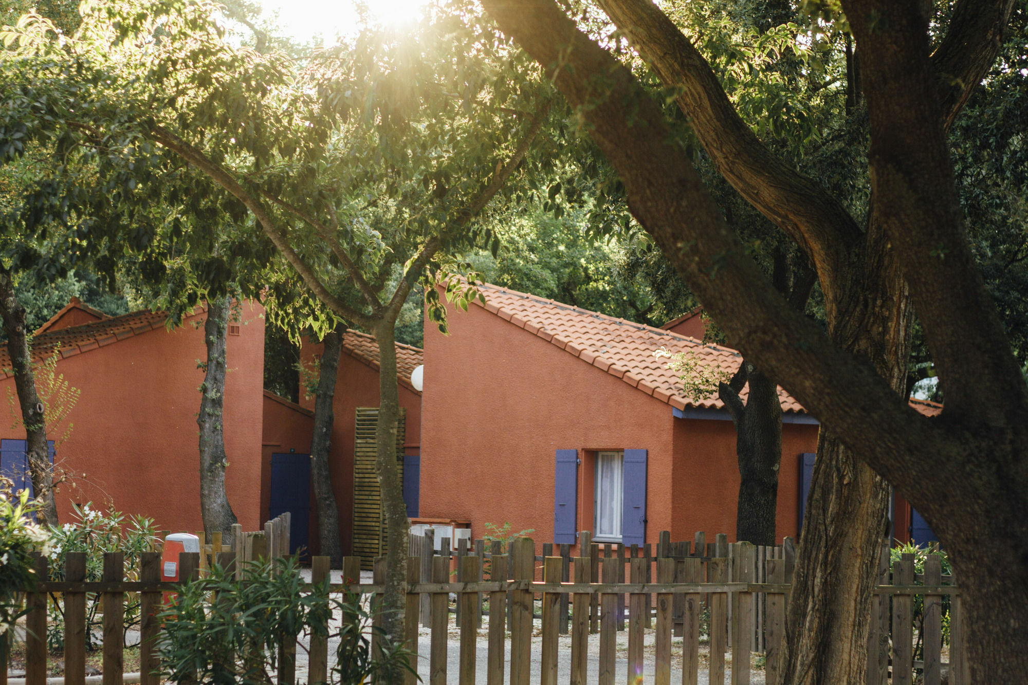 Hotel Camping Le Bois Fleuri Argelès-sur-Mer Exteriér fotografie