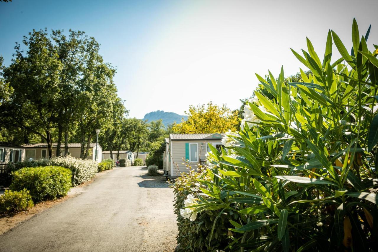 Hotel Camping Le Bois Fleuri Argelès-sur-Mer Exteriér fotografie